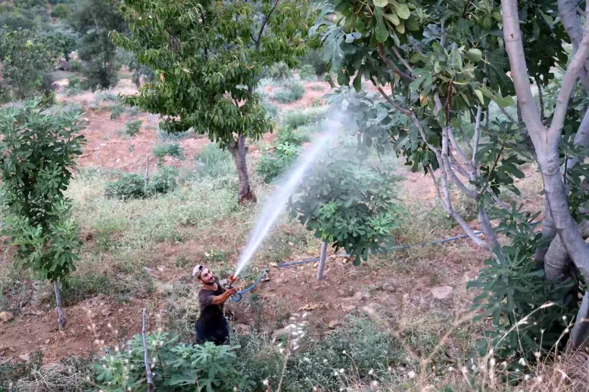 aydinda akdeniz meyve sinegi tehdidi 3l9NSJaR