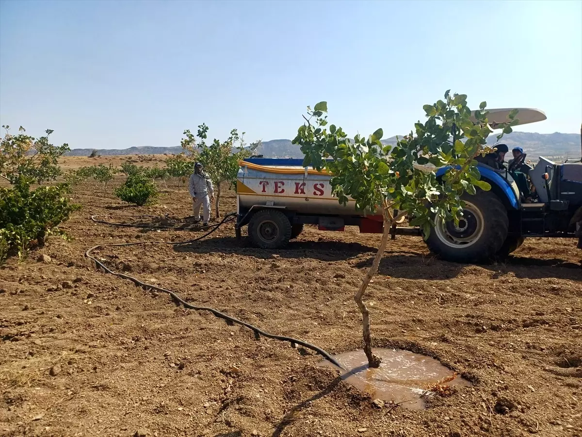 batmanda fistik ureticileri sulama yapiyor AE4DayKB