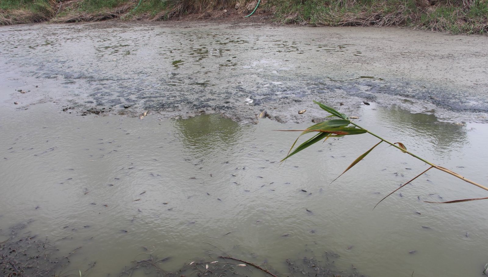 golet kuruma noktasina geldi 8R3C3A1K