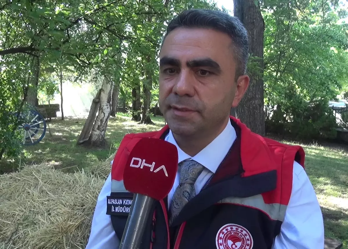 erzurumda sap hastaligi asilama calismalari suruyor AaSnRBKv