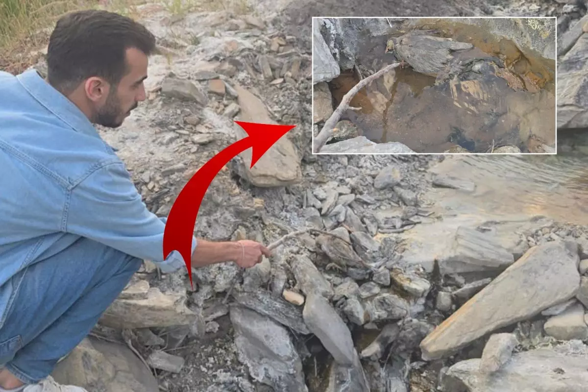 hakkaride gizemli vadi insanlara sifa hayvanlara olum getiriyor n6YCCmuk