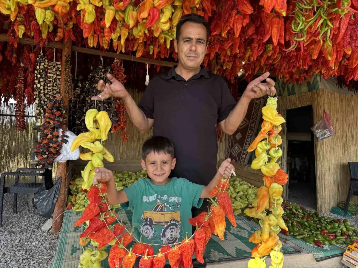 kale biberi dunyaya tanitiliyor qzqjFjlU