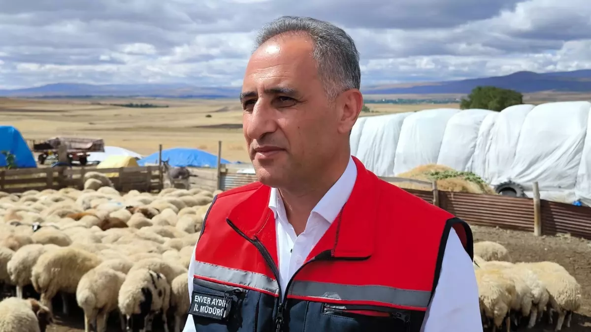 karsta 15 milyon koyun ve keci asilaniyor axbgm6zD