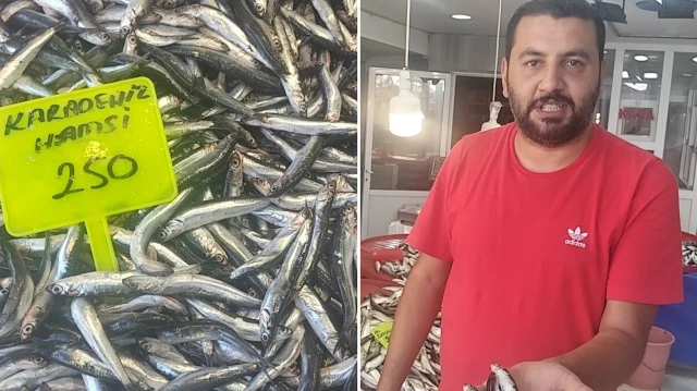 muglada karadeniz hamsisi kilosu 250 tlden satista IpfElOcE