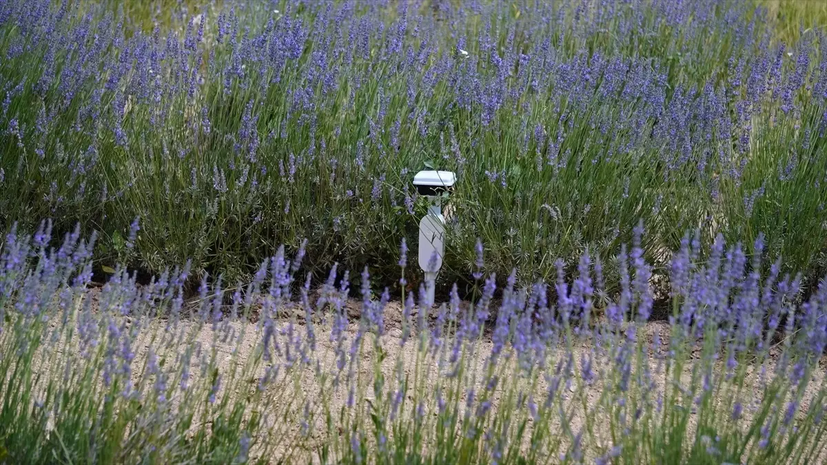 turkiyede ilk leo uydu iletisim yetkilendirmesi a48OxwqV