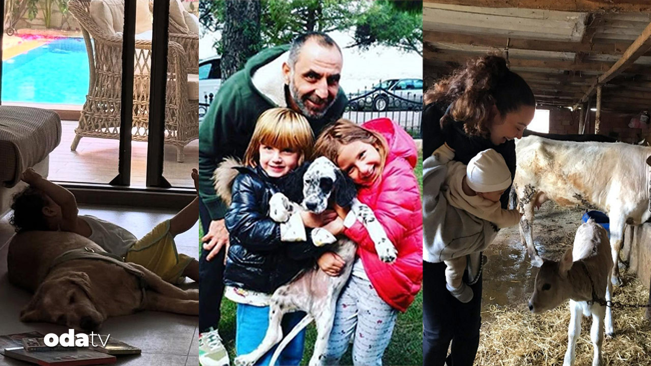 unlulerin cocuklari ve hayvanlariyla renkli kareleri HBirZjAD