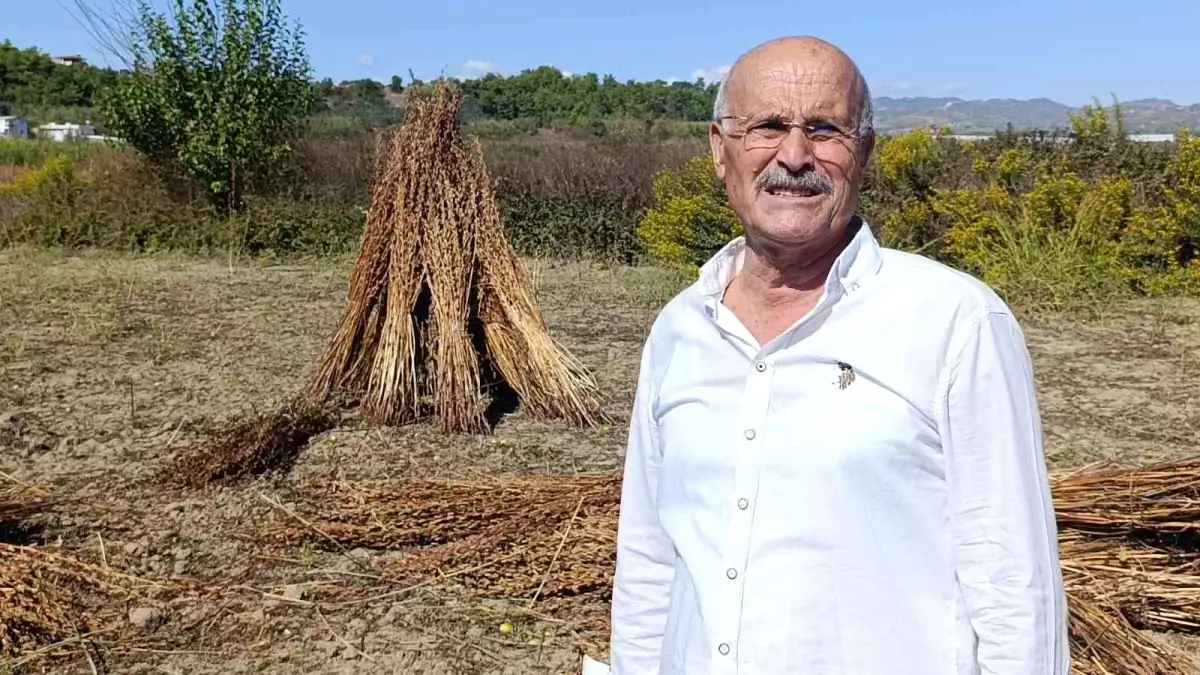 manavgat susami hirsizligi iecTjILb.jpg