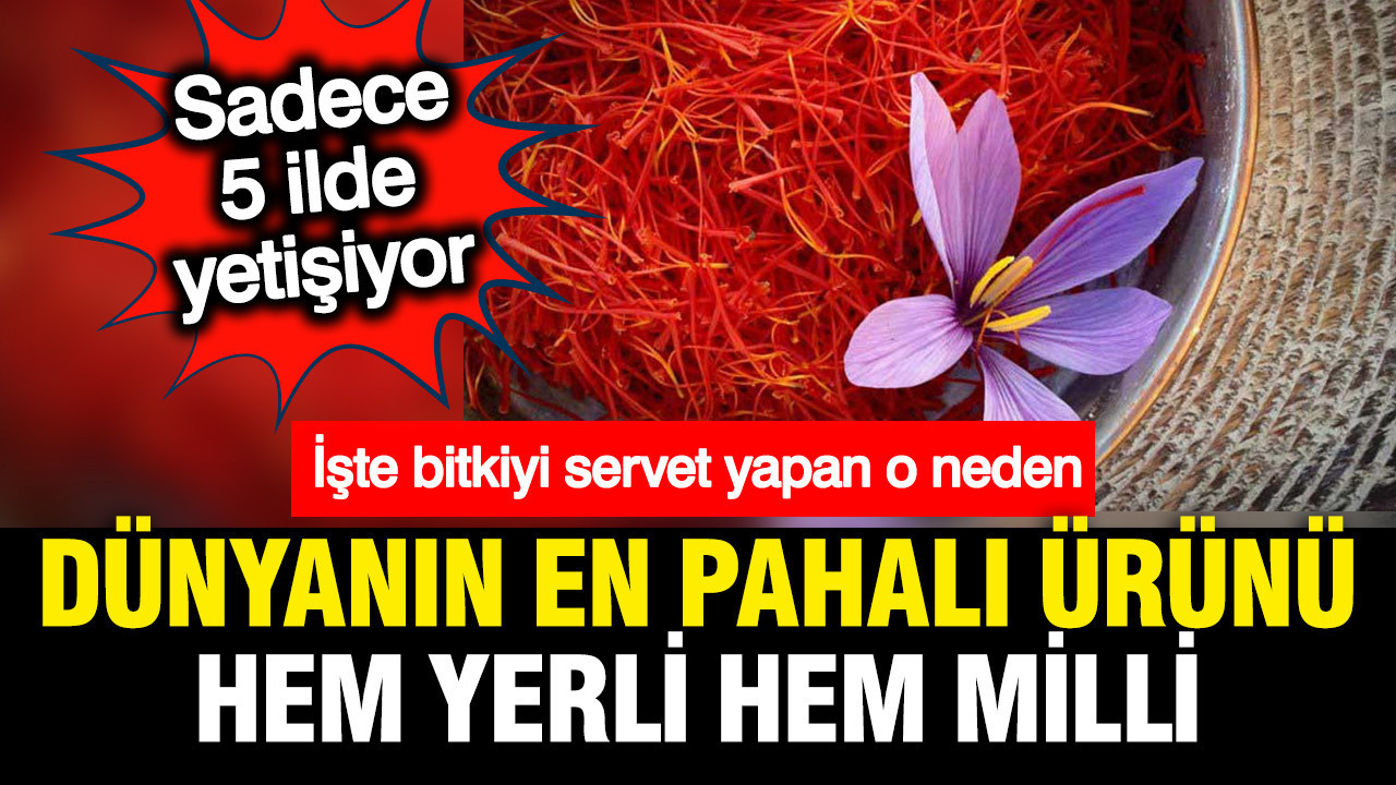 dunyanin-en-pahali-urunu-hem-yerli-ve-milli-hem-turkiyede-yetisiyor-degeri-servete-bedel-CIsDhC2L-1