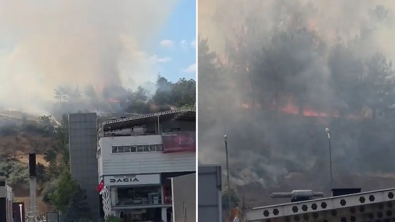 Son dakika ankarada odtu ormaninda yangin eJebzUnU